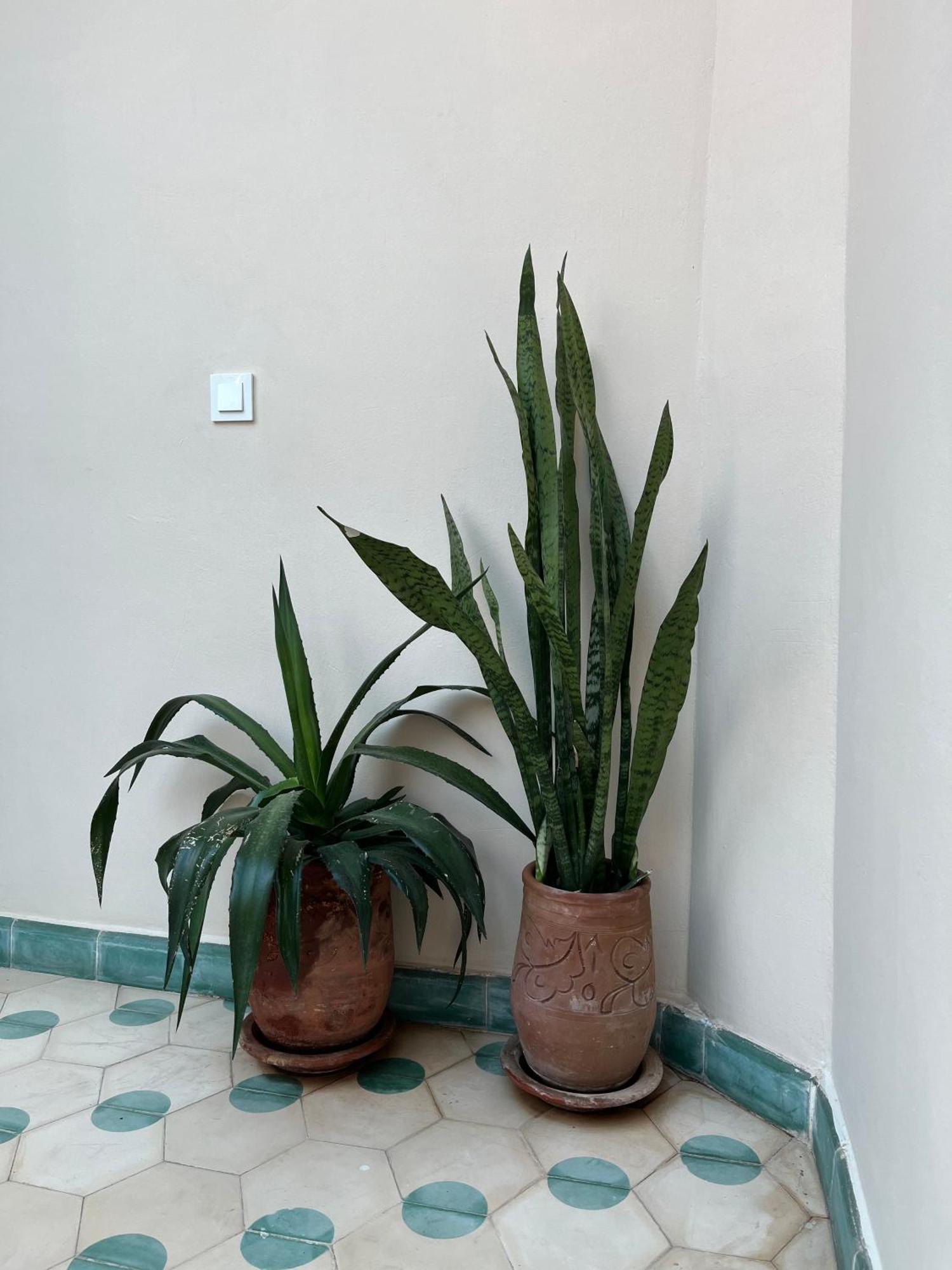 Riad Imndi Marrakesz Zewnętrze zdjęcie